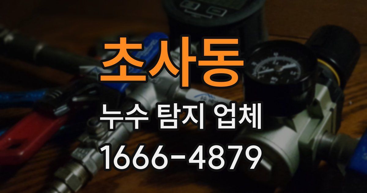 초사동 누수 탐지 업체