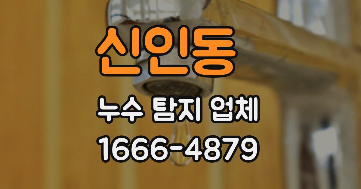 신인동 누수 탐지 업체