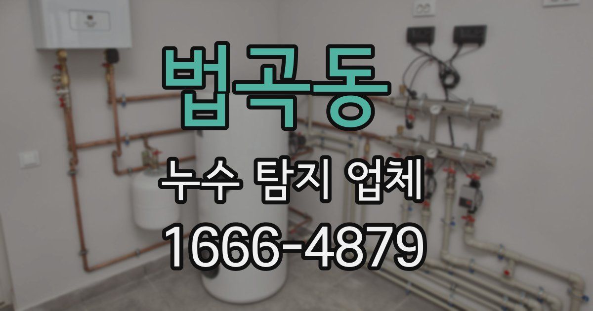 법곡동 누수 탐지 업체