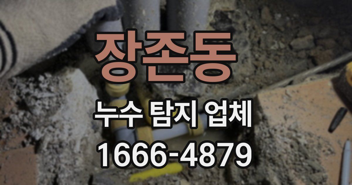 장존동 누수 탐지 업체