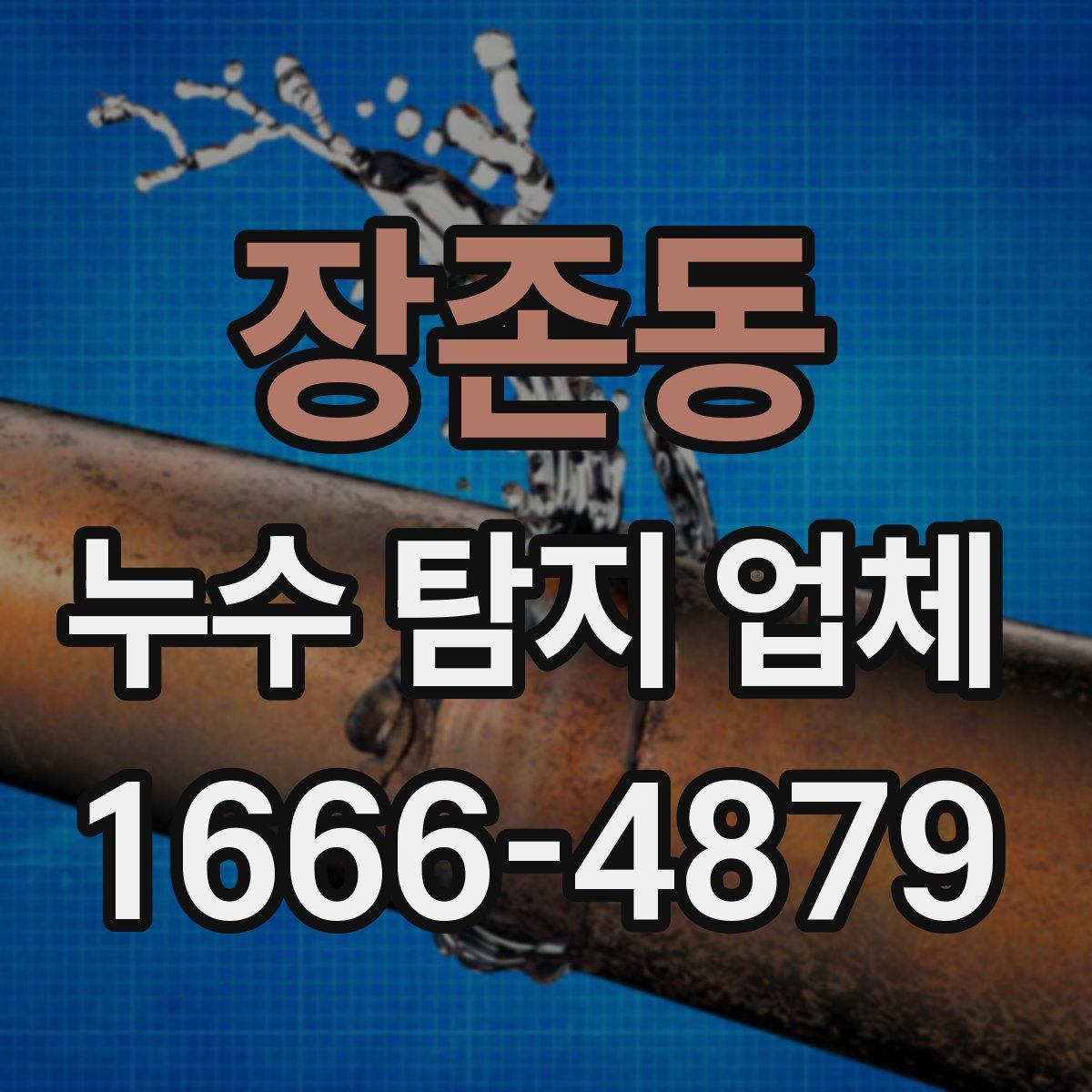장존동 누수 탐지 업체