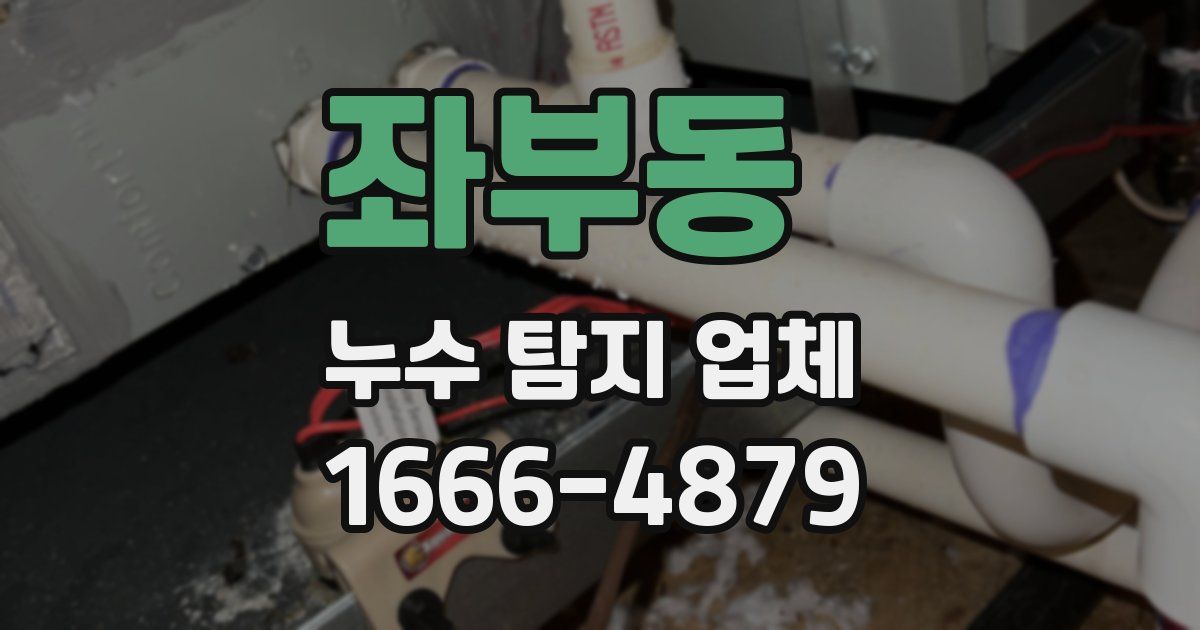 좌부동 누수 탐지 업체