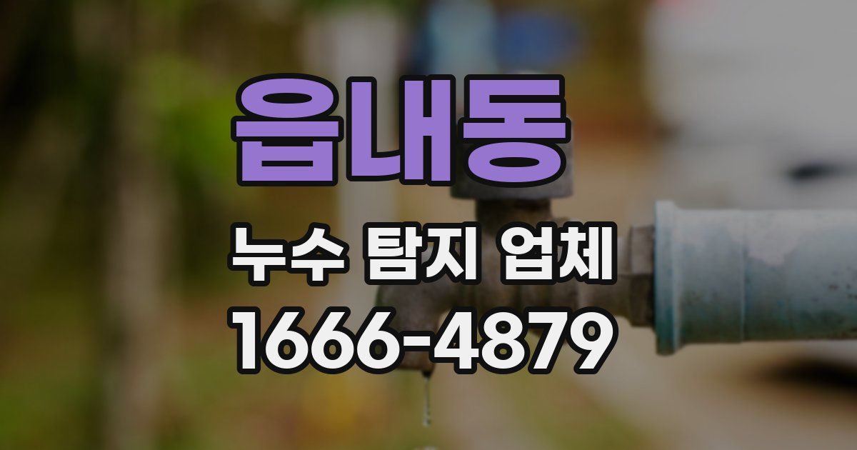 읍내동 누수 탐지 업체
