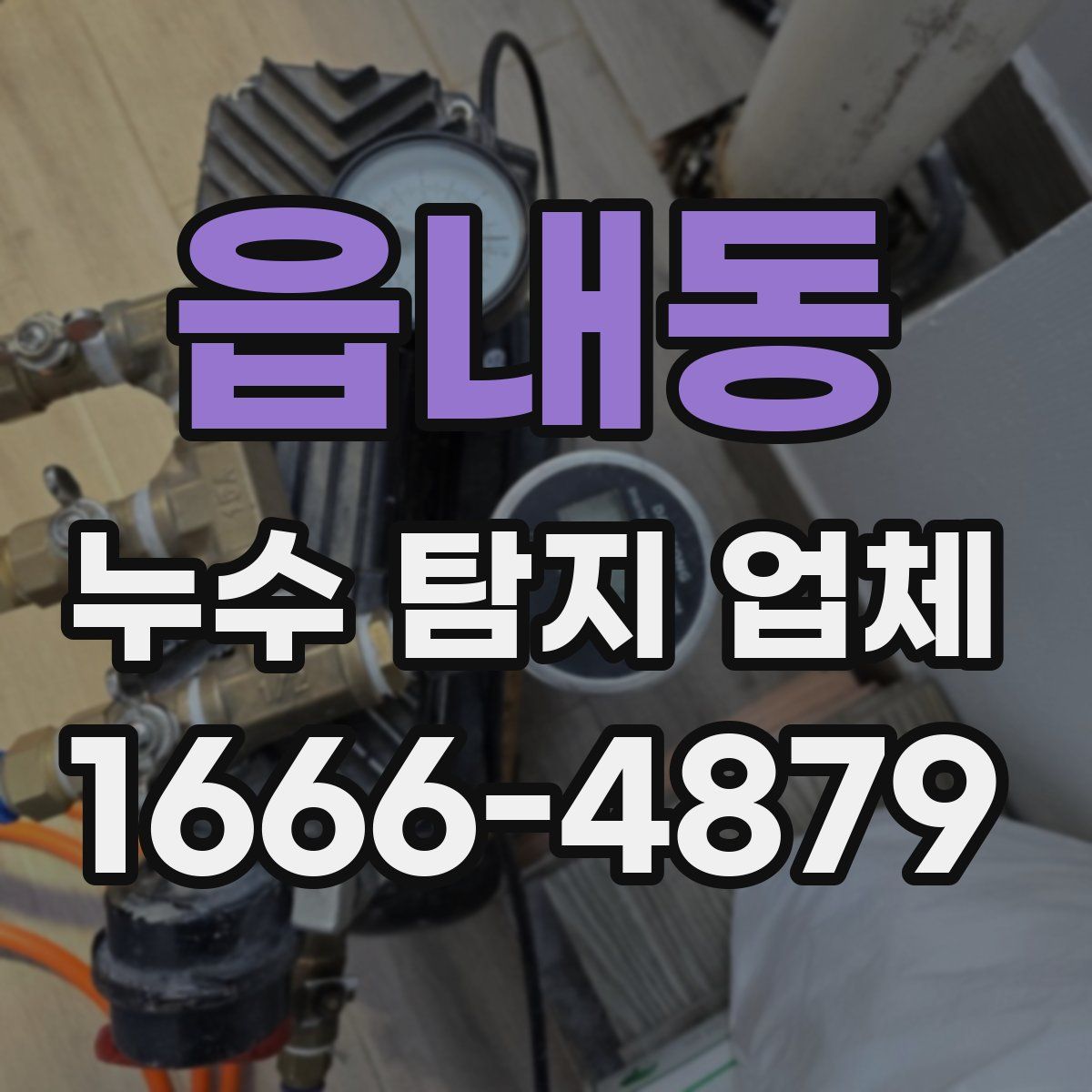 읍내동 누수 탐지 업체