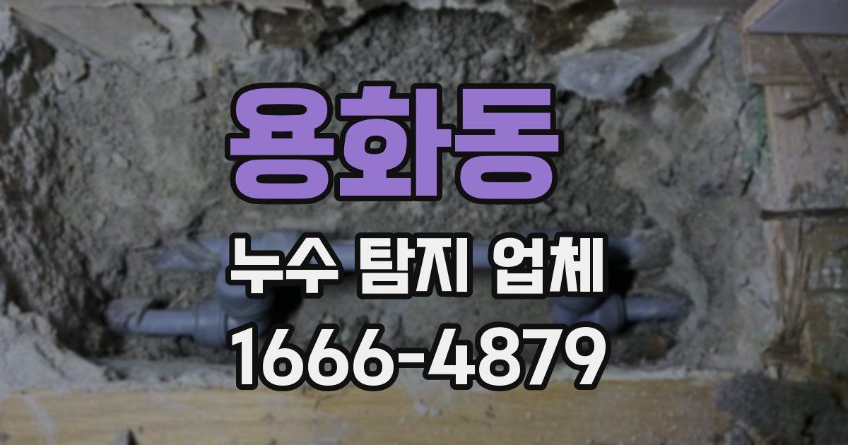 용화동 누수 탐지 업체