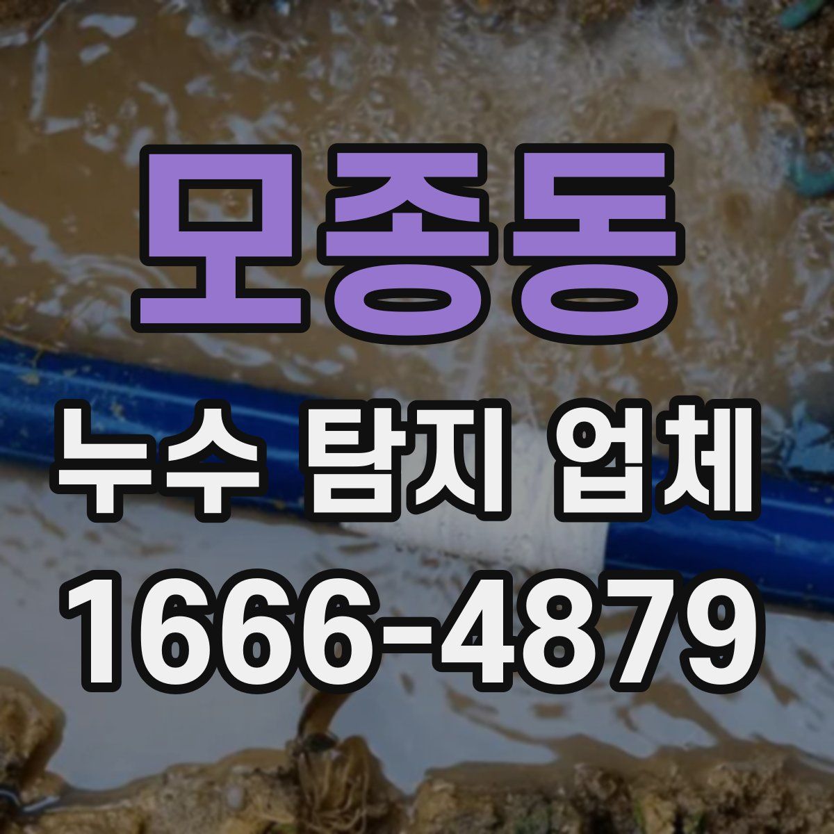 모종동 누수 탐지 업체