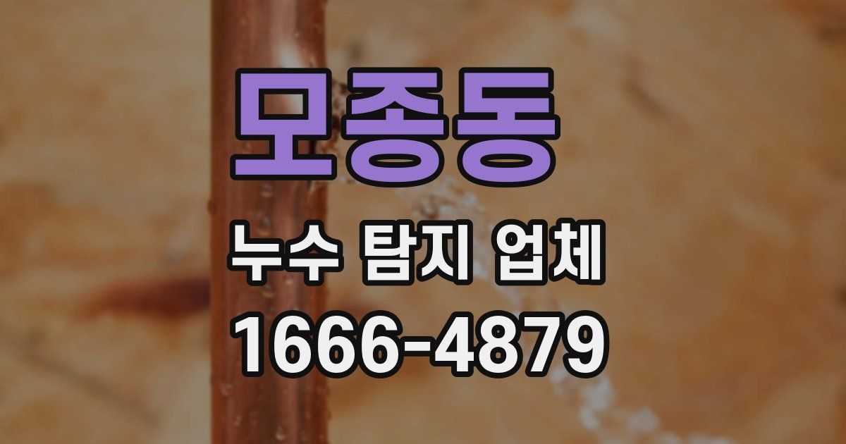 모종동 누수 탐지 업체
