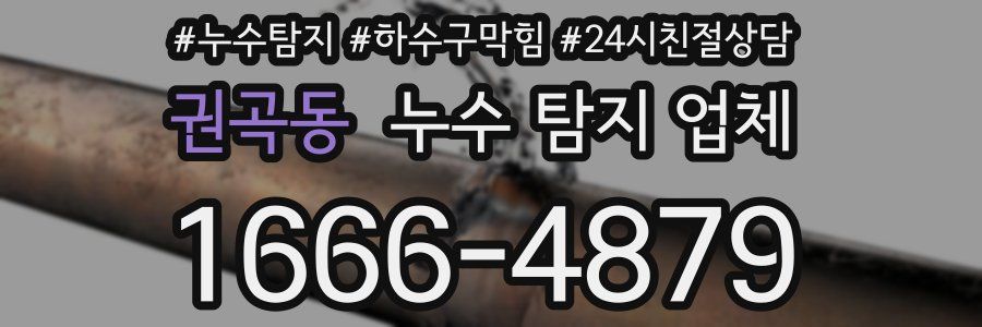 권곡동 누수 탐지 업체
