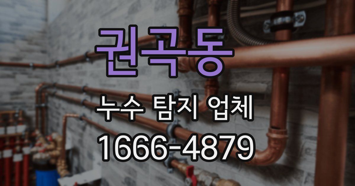 권곡동 누수 탐지 업체