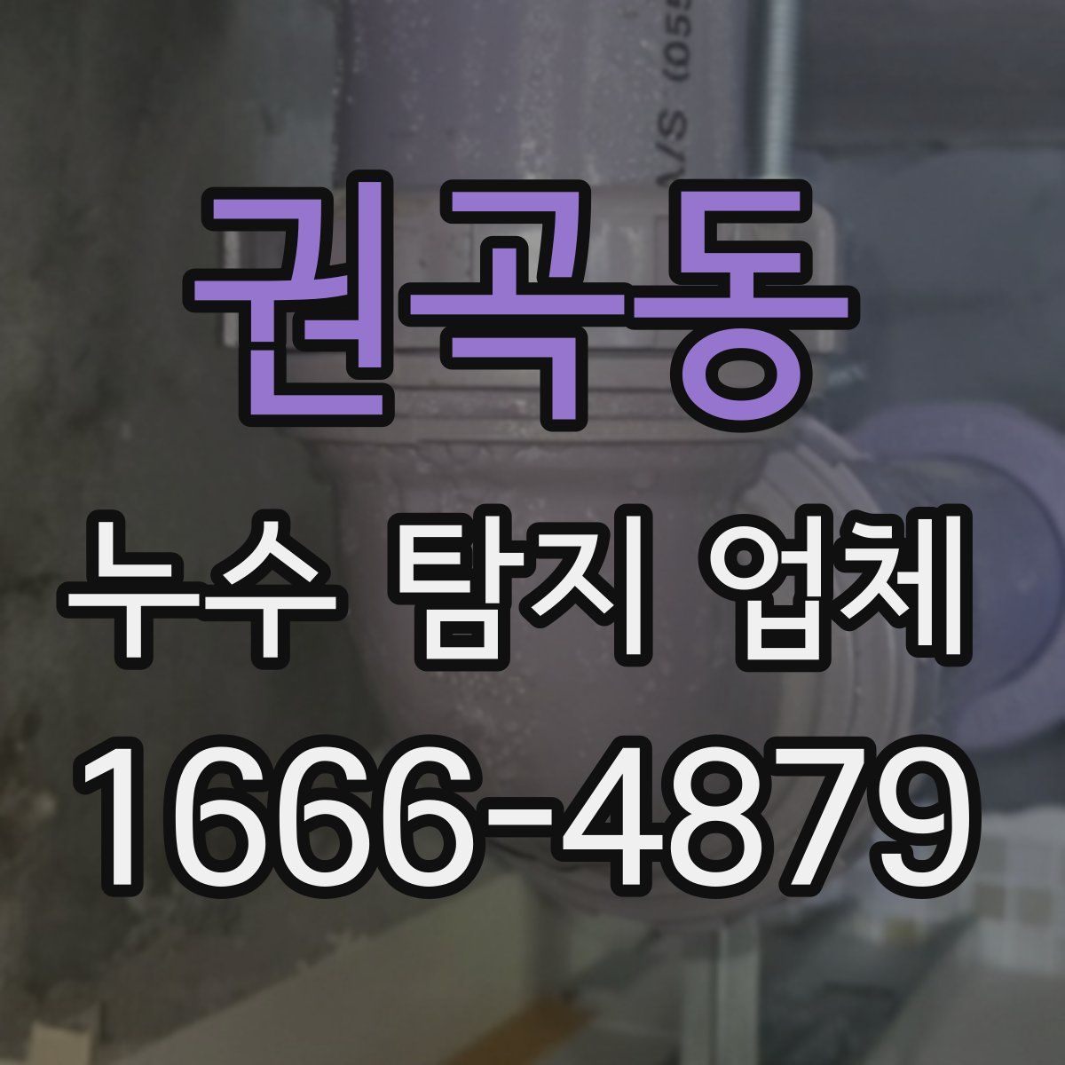 권곡동 누수 탐지 업체