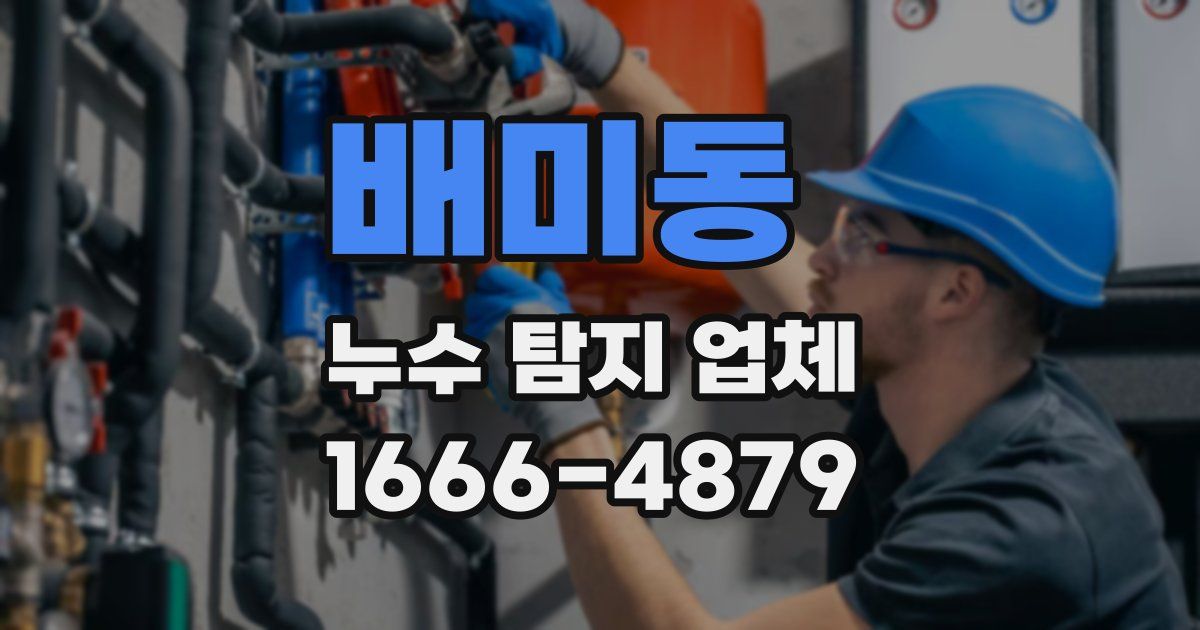 배미동 누수 탐지 업체