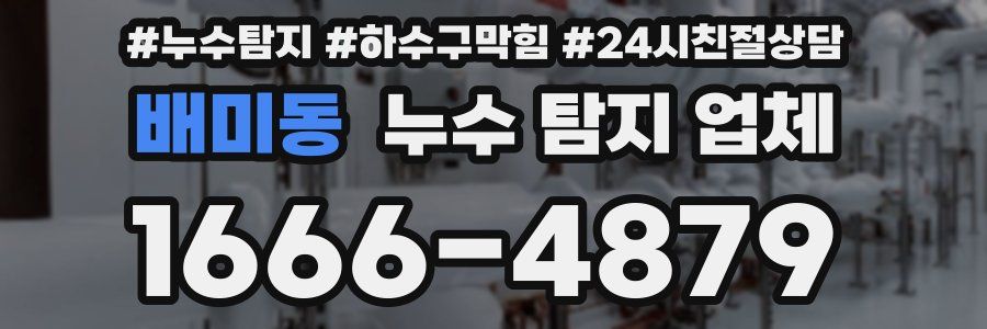 배미동 누수 탐지 업체