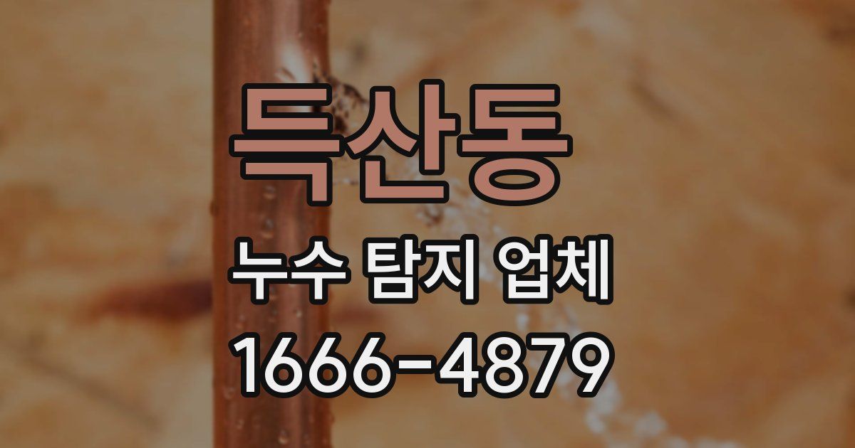 득산동 누수 탐지 업체