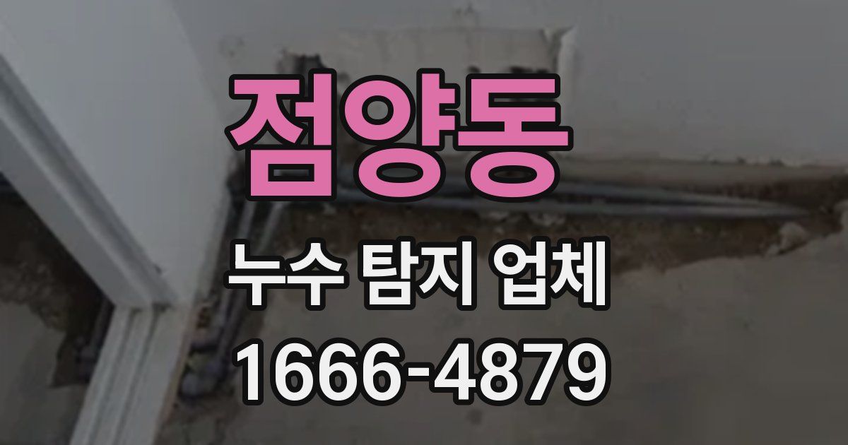 점양동 누수 탐지 업체