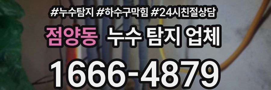 점양동 누수 탐지 업체