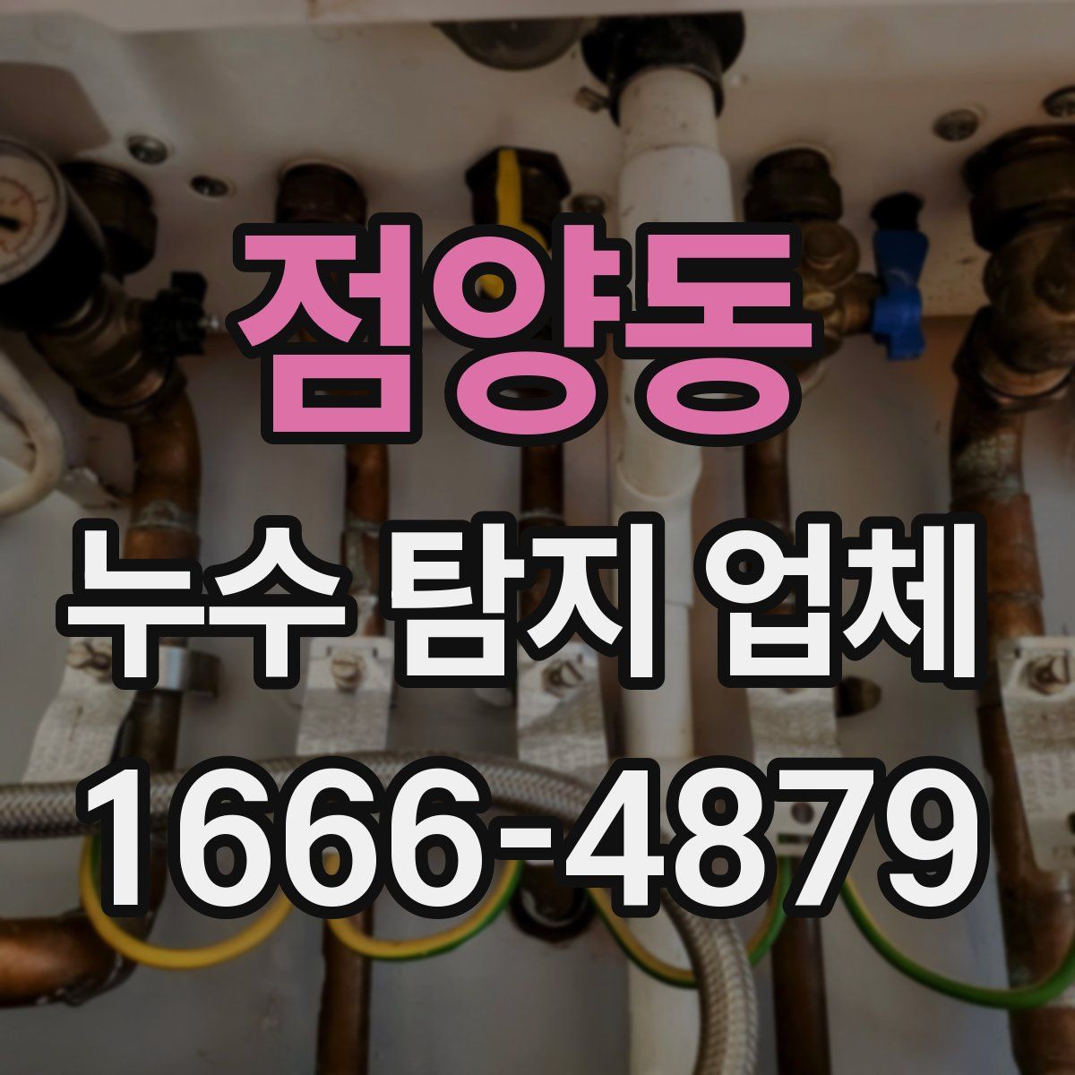 점양동 누수 탐지 업체