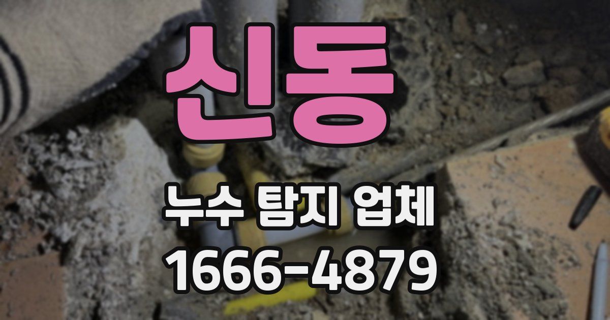 신동 누수 탐지 업체