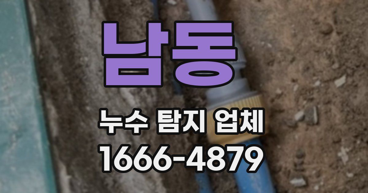 남동 누수 탐지 업체