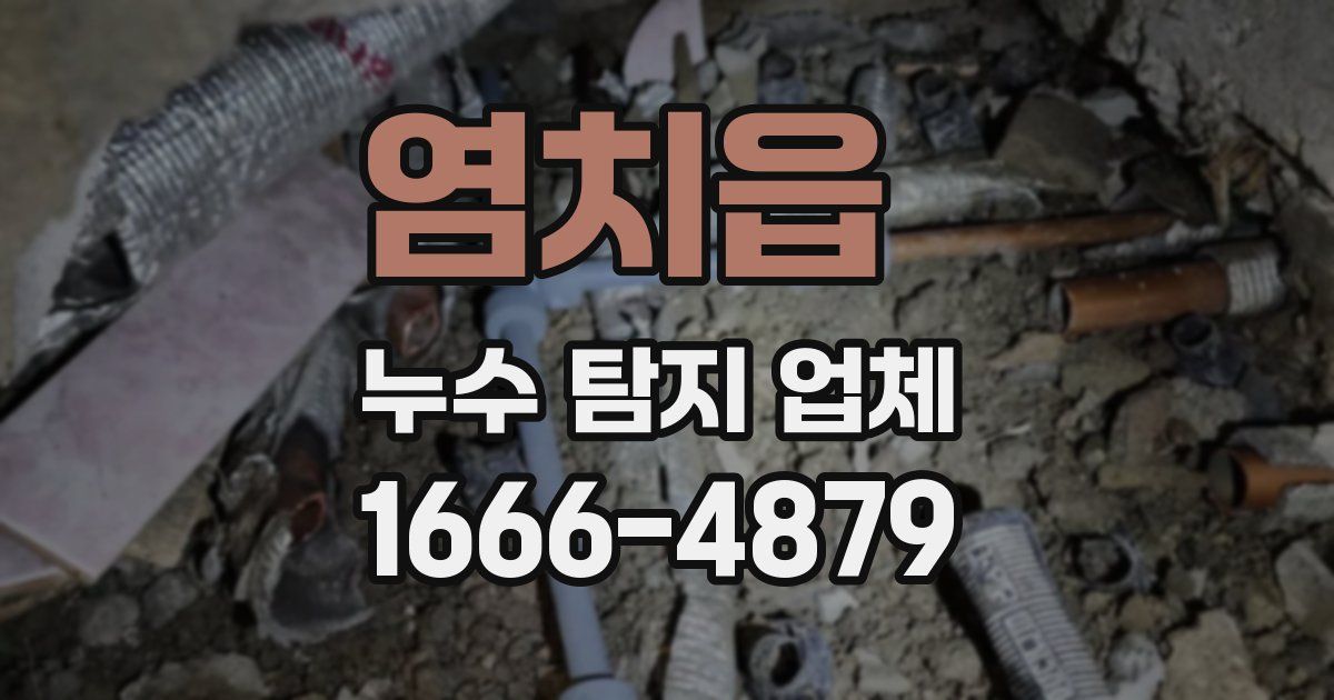 염치읍 누수 탐지 업체