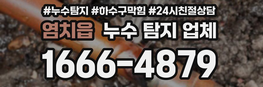 염치읍 누수 탐지 업체