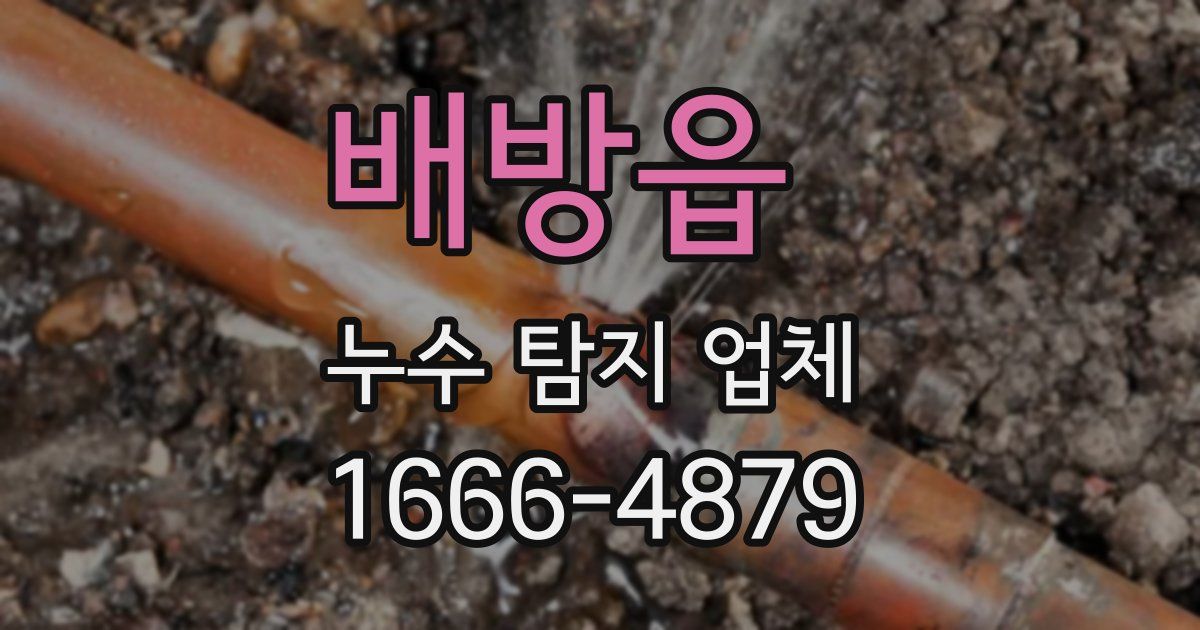 배방읍 누수 탐지 업체