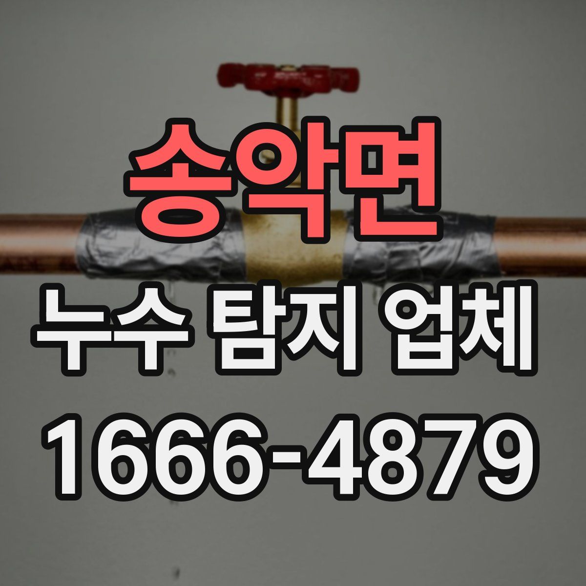 송악면 누수 탐지 업체
