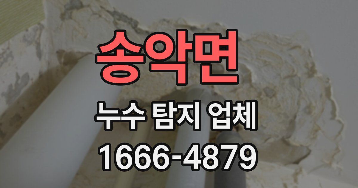 송악면 누수 탐지 업체