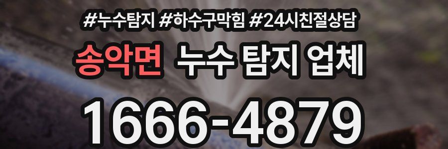 송악면 누수 탐지 업체