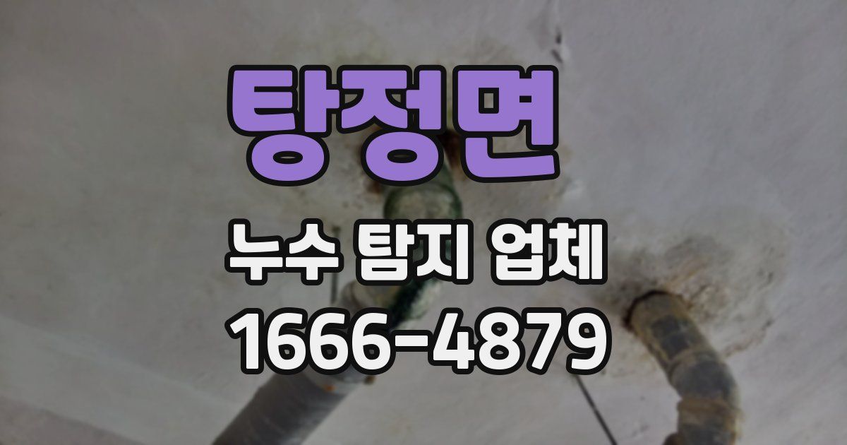 탕정면 누수 탐지 업체