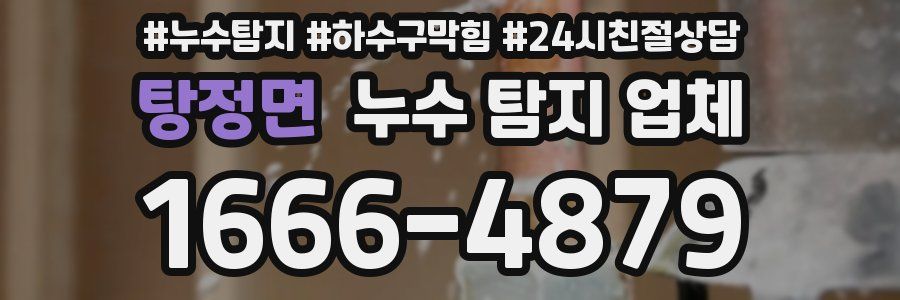 탕정면 누수 탐지 업체