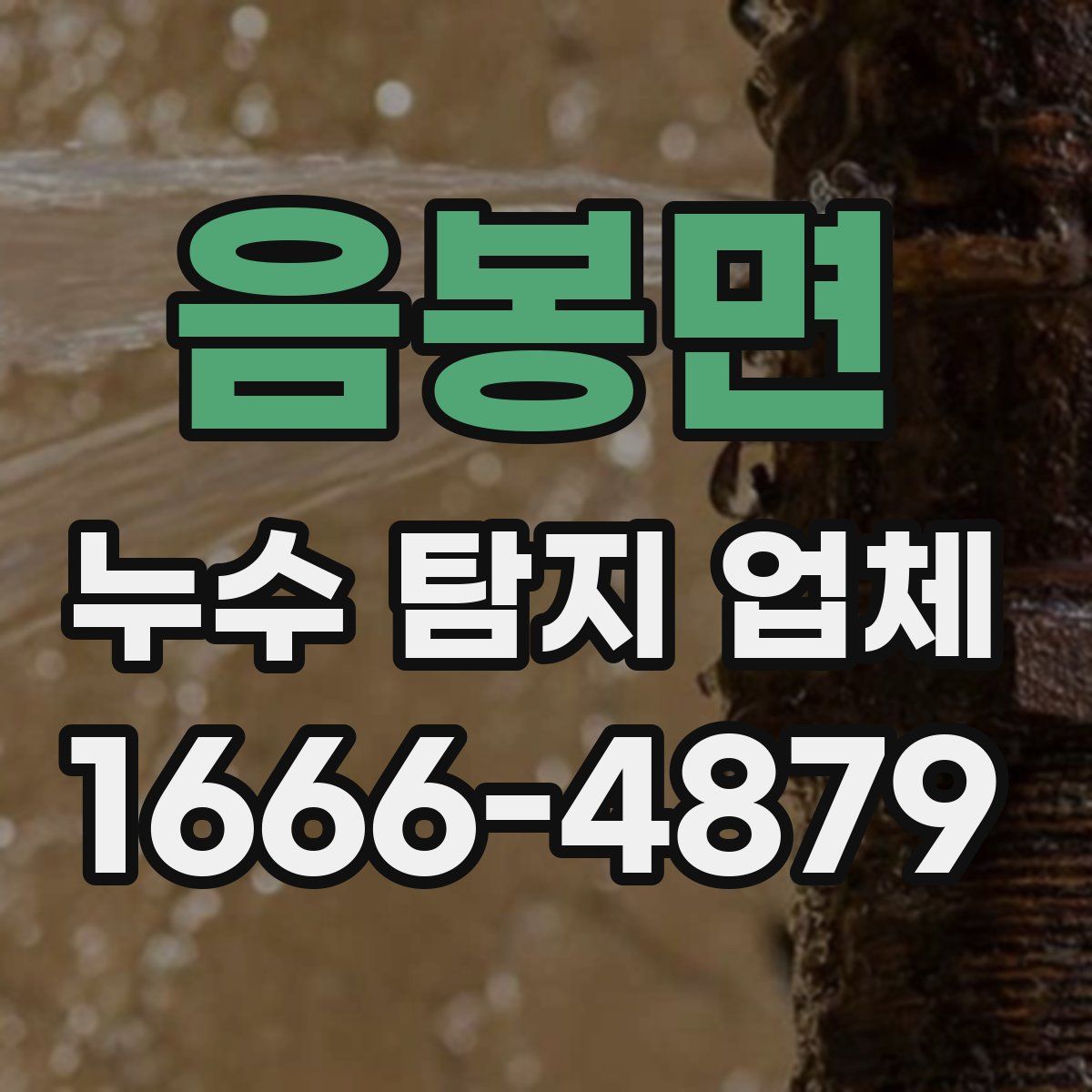 음봉면 누수 탐지 업체