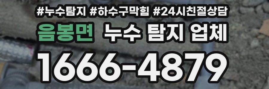 음봉면 누수 탐지 업체