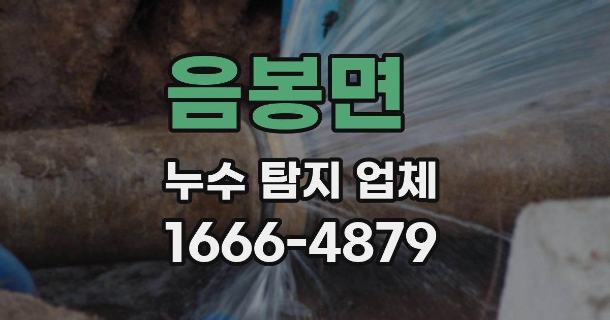 음봉면 누수 탐지 업체