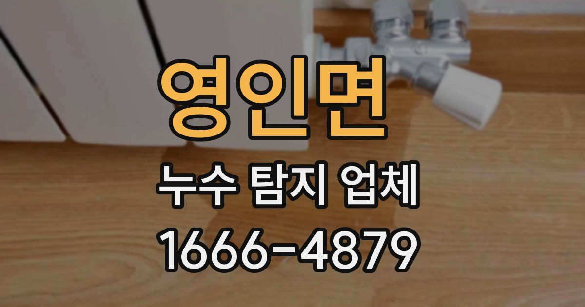 영인면 누수 탐지 업체
