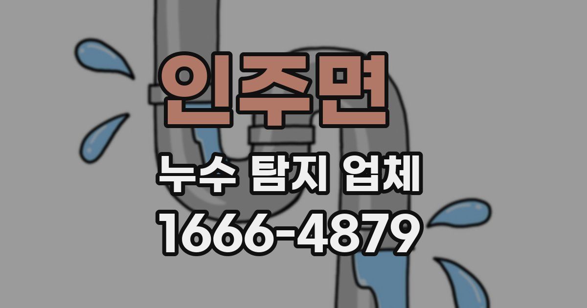 인주면 누수 탐지 업체