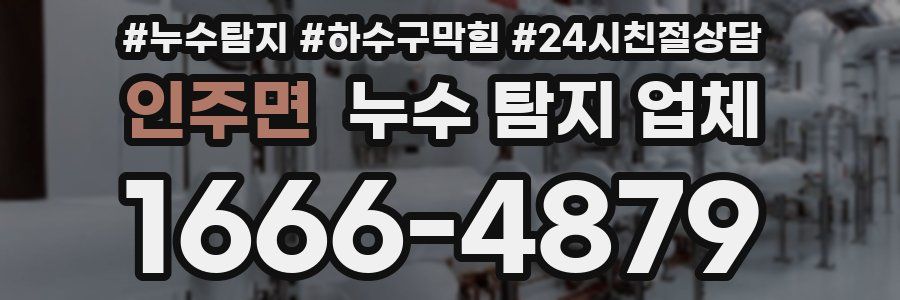 인주면 누수 탐지 업체