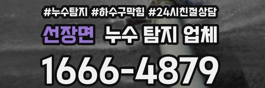 선장면 누수 탐지 업체