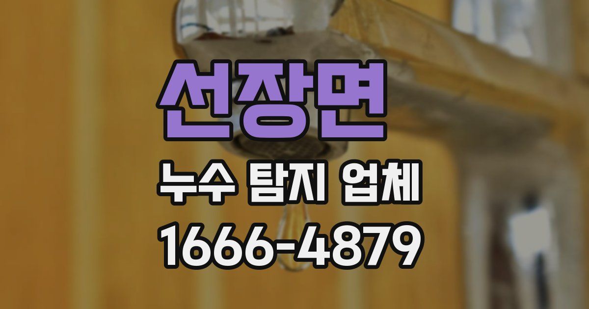 선장면 누수 탐지 업체