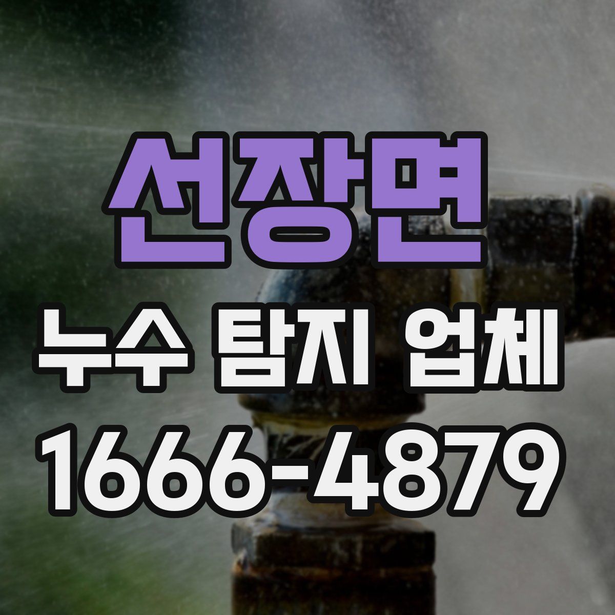 선장면 누수 탐지 업체