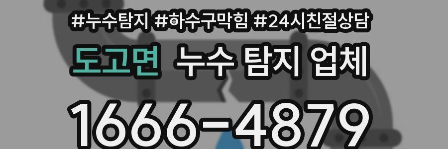 도고면 누수 탐지 업체