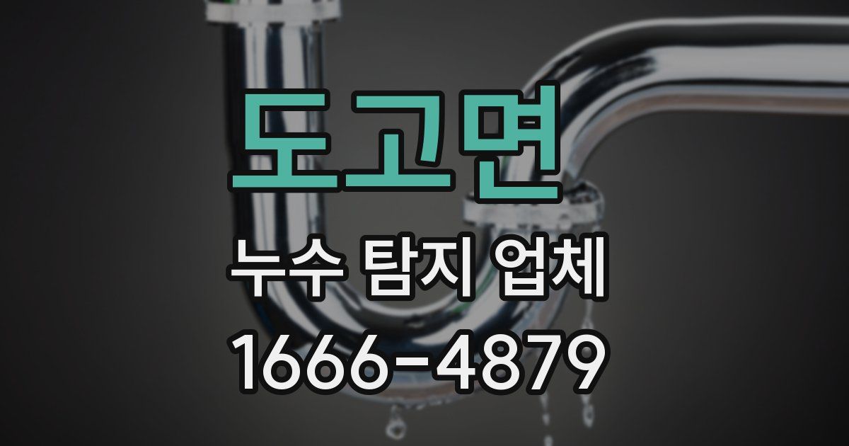 도고면 누수 탐지 업체
