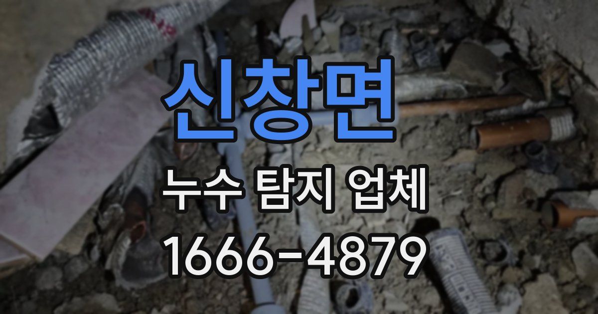 신창면 누수 탐지 업체