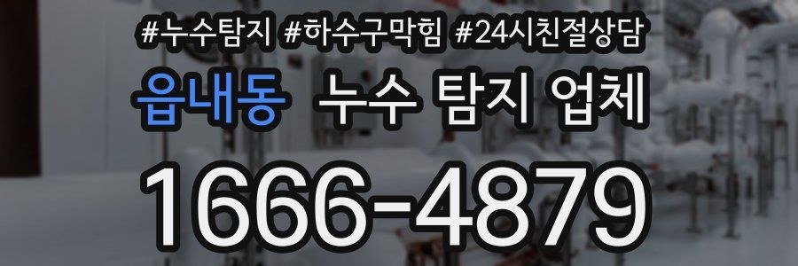 읍내동 누수 탐지 업체