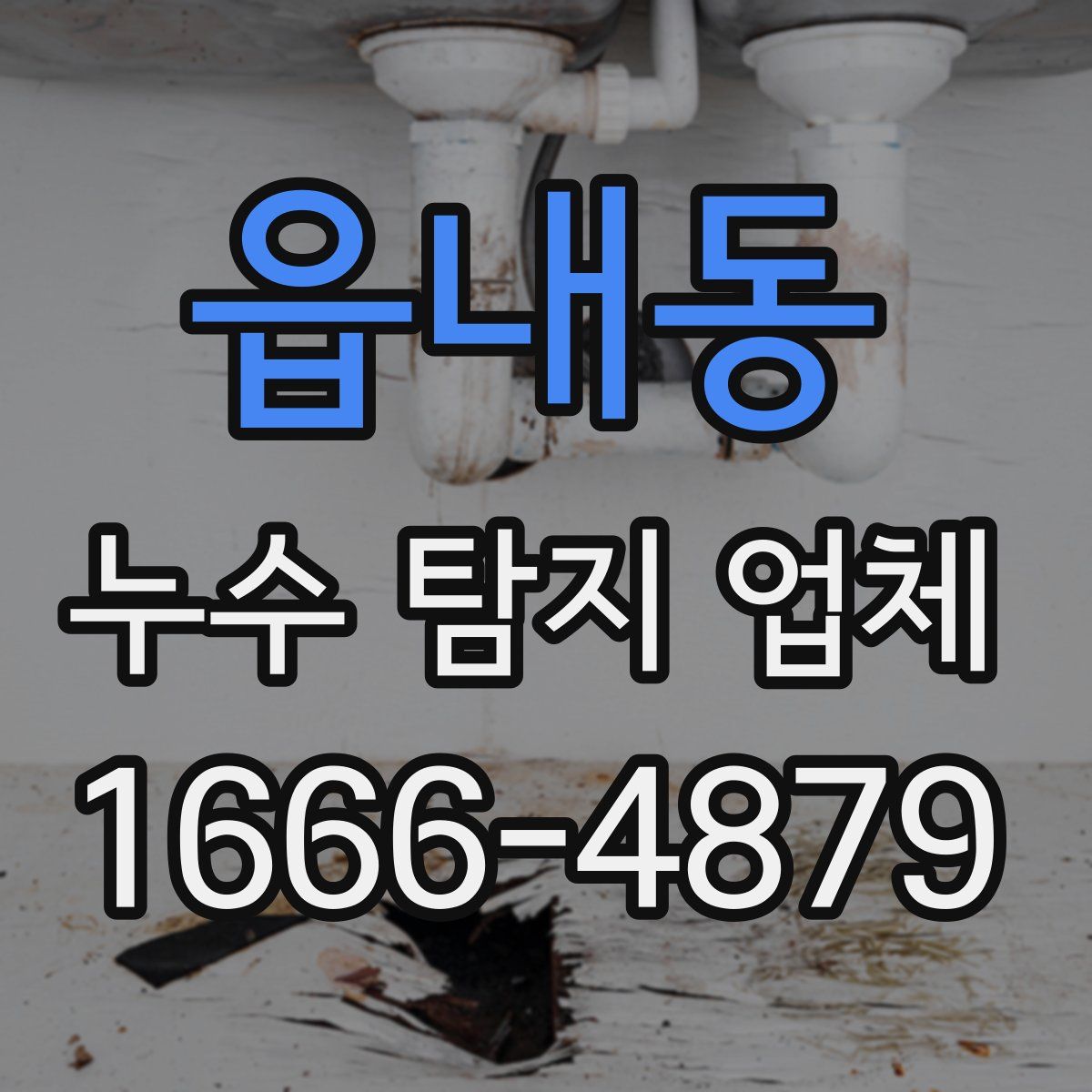 읍내동 누수 탐지 업체