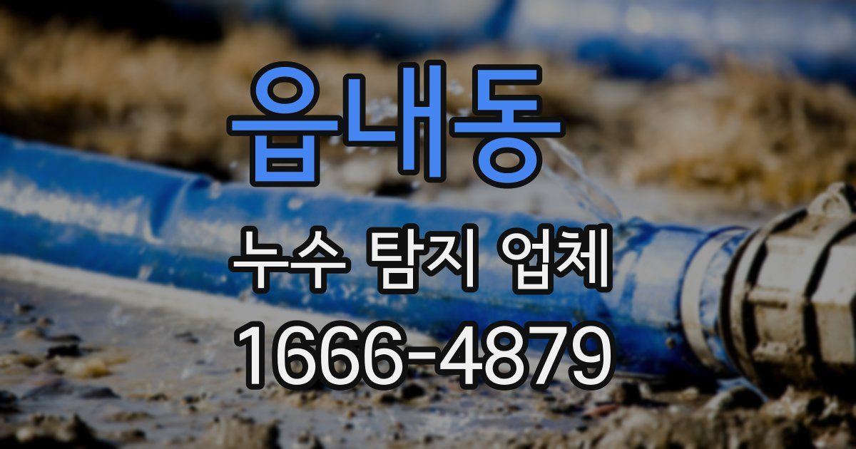 읍내동 누수 탐지 업체