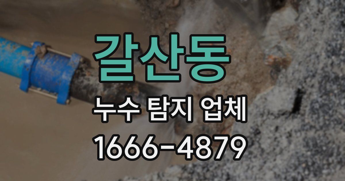 갈산동 누수 탐지 업체