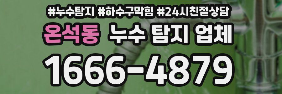 온석동 누수 탐지 업체