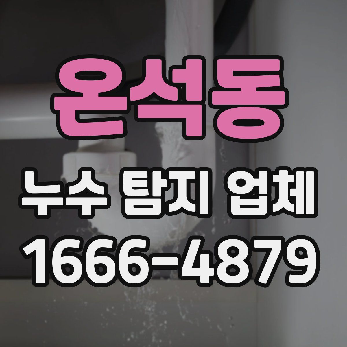 온석동 누수 탐지 업체