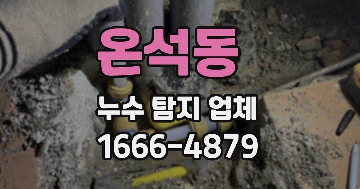 온석동 누수 탐지 업체