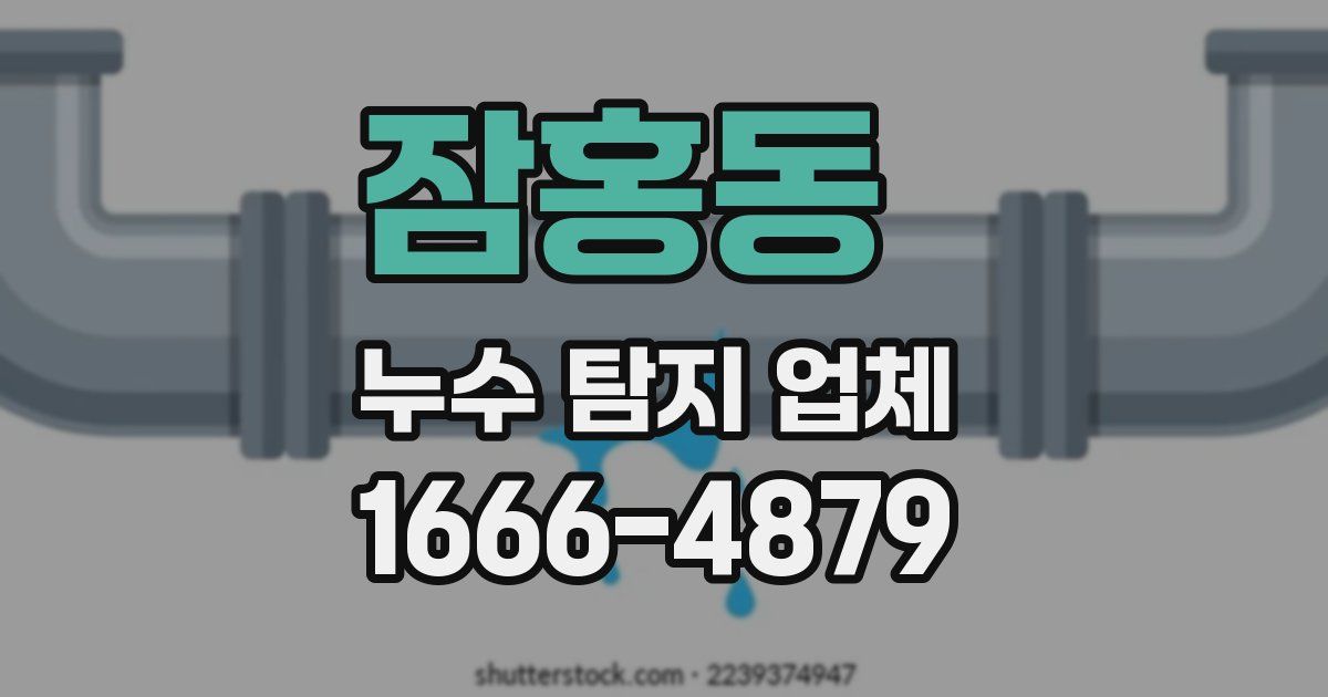 잠홍동 누수 탐지 업체